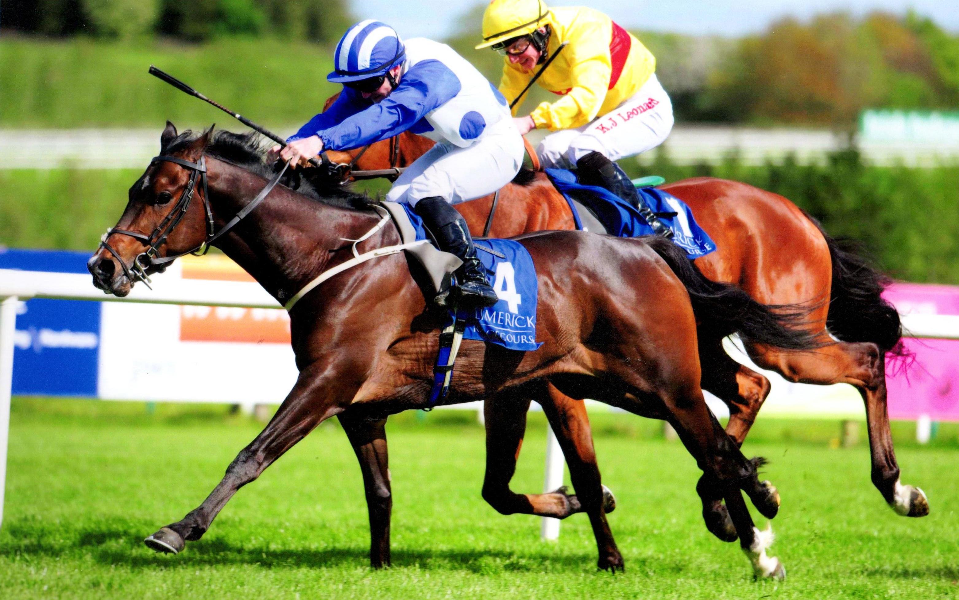 ROCK IN PEACE wins under Gary Carroll at Limerick 30th April 2017